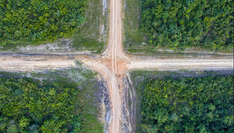Cross-cutting issues A crossroad made of dirt